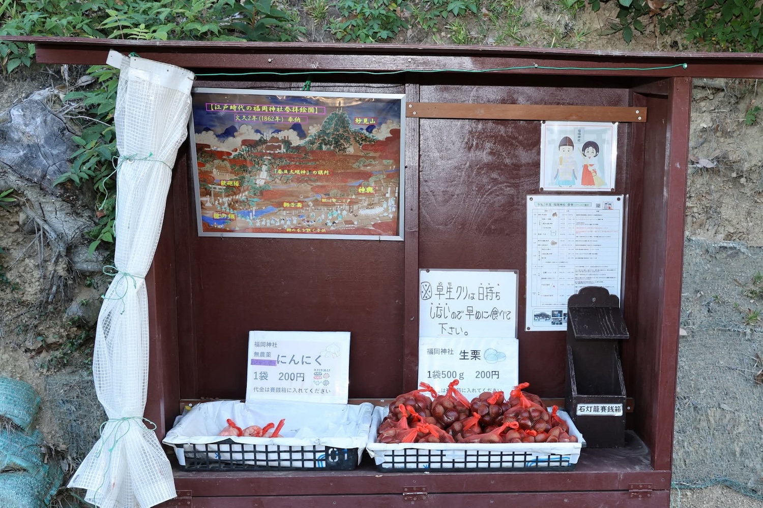 クリ販売2025