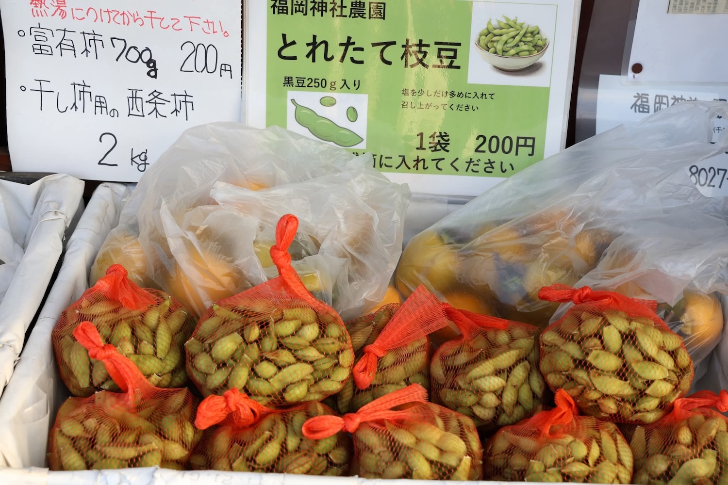 とりたて黒枝豆の販売始めました